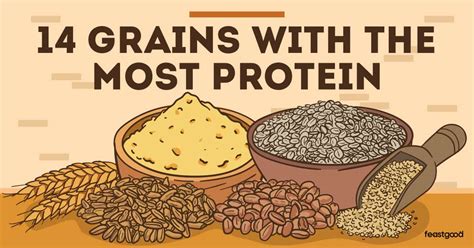 Benefits Of High Protein Grains